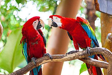 《辐射76》内容更新“远征：匹兹堡”故事预告 9月上线